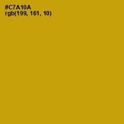 #C7A10A - Buddha Gold Color Image