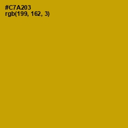 #C7A203 - Buddha Gold Color Image