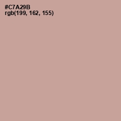 #C7A29B - Eunry Color Image