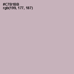 #C7B1BB - Cold Turkey Color Image