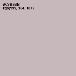 #C7B8BB - Cold Turkey Color Image