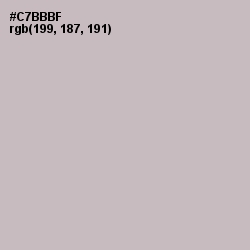 #C7BBBF - Cold Turkey Color Image