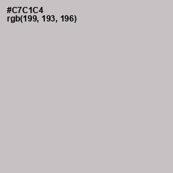 #C7C1C4 - Silver Color Image