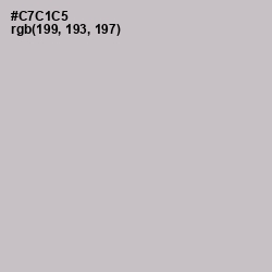 #C7C1C5 - Silver Color Image