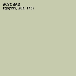 #C7CBAD - Thistle Green Color Image