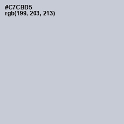 #C7CBD5 - Ghost Color Image