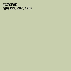 #C7CFAD - Thistle Green Color Image