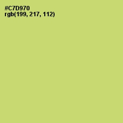 #C7D970 - Chenin Color Image