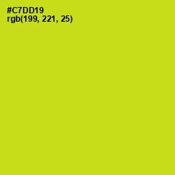 #C7DD19 - Bird Flower Color Image