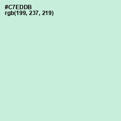 #C7EDDB - Skeptic Color Image