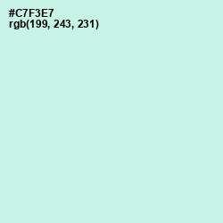 #C7F3E7 - Mint Tulip Color Image