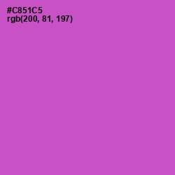 #C851C5 - Fuchsia Pink Color Image
