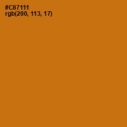 #C87111 - Meteor Color Image