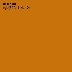 #C8720C - Indochine Color Image