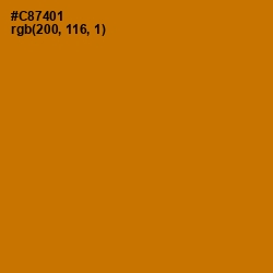 #C87401 - Indochine Color Image