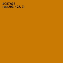 #C87A03 - Indochine Color Image
