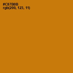 #C87B0B - Meteor Color Image