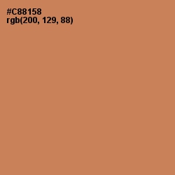#C88158 - Twine Color Image