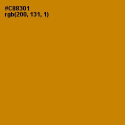 #C88301 - Pizza Color Image