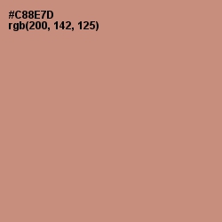 #C88E7D - New York Pink Color Image