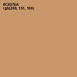 #C8976A - Antique Brass Color Image