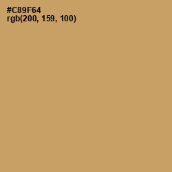 #C89F64 - Whiskey Color Image