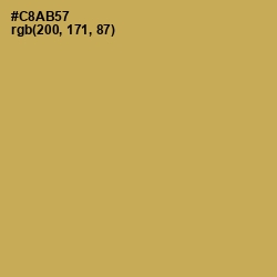 #C8AB57 - Sundance Color Image