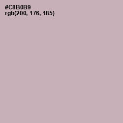 #C8B0B9 - Cold Turkey Color Image