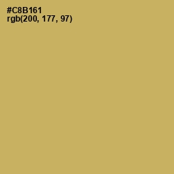 #C8B161 - Laser Color Image