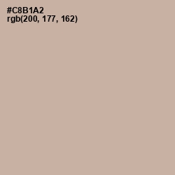 #C8B1A2 - Bison Hide Color Image