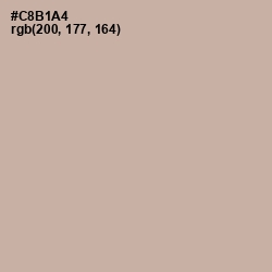 #C8B1A4 - Bison Hide Color Image