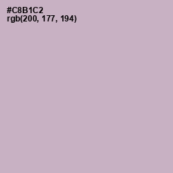 #C8B1C2 - Pale Slate Color Image