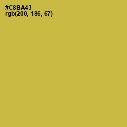 #C8BA43 - Turmeric Color Image