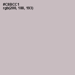 #C8BCC1 - Pale Slate Color Image