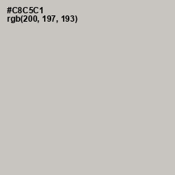 #C8C5C1 - Pumice Color Image