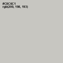 #C8C6C1 - Pumice Color Image