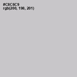 #C8C6C9 - Pumice Color Image