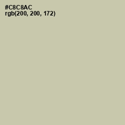 #C8C8AC - Thistle Green Color Image