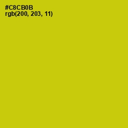 #C8CB0B - Bird Flower Color Image
