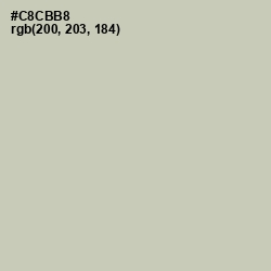 #C8CBB8 - Foggy Gray Color Image