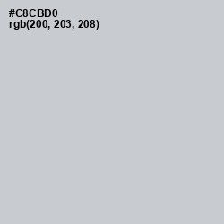 #C8CBD0 - Ghost Color Image