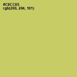#C8CC65 - Tacha Color Image