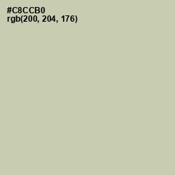 #C8CCB0 - Foggy Gray Color Image