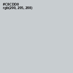 #C8CDD0 - Ghost Color Image