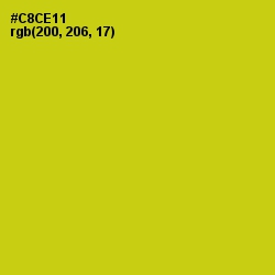#C8CE11 - Bird Flower Color Image