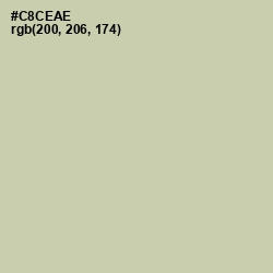 #C8CEAE - Thistle Green Color Image
