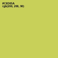 #C8D05A - Wattle Color Image