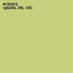 #C8D07E - Chenin Color Image