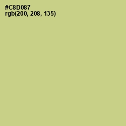 #C8D087 - Pine Glade Color Image