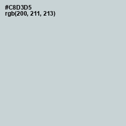 #C8D3D5 - Tiara Color Image